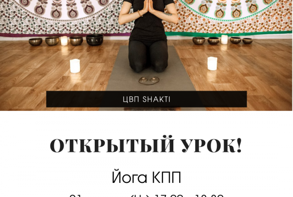 открытое занятие лайя йога (6)